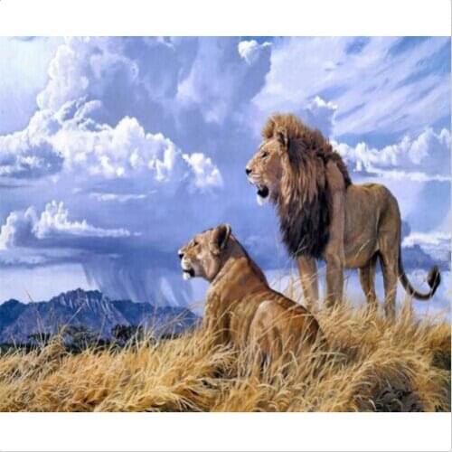 Oil Painting handpainted On Canvas Modern Canvas Art NO frame