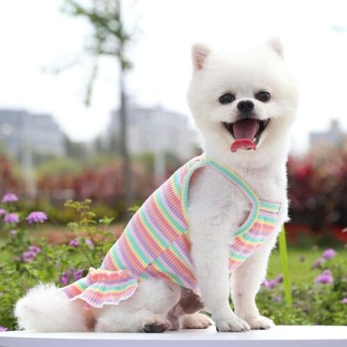 Dog Clothes Small, Medium and Large Dog Striped Suspender Skirt Knitted Cat Teddy Bichon Spring and Summer Pet Clothes Supplies