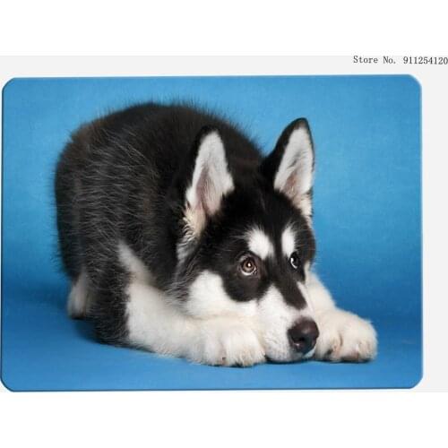 Husky Animal Dust Doormat for Living Room Cute Dog Floor Mat Home Decor Kitchen Bathroom Dinning Outdoor Indoor Mat Print Carpet
