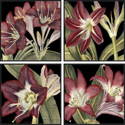 Counted Cross Stitch Kits Needlework Embroidery - Crafts 14 ct Aida DMC Color DIY Arts Handmade Home Decor - Dramatic Blossoms