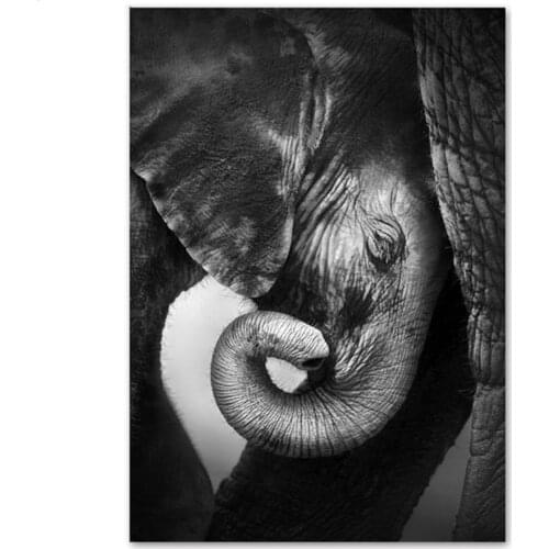 5D Diy Diamond Painting Elephant Black White Animal Patterns Bead Embroidery Diamond Square Round Diamond Mosaic Handmake Rp632