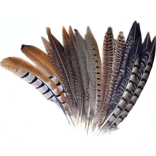 10Pcs/Lot Natural Pheasant Feathers for Needlework 15-20cm Small Crafts Feather Decor Plumes Handicraft Accessories Decoration