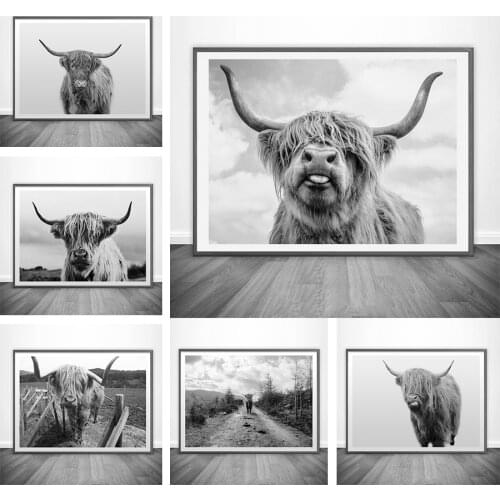 Nordic Black and White Yak Highland Cow Wild Animals Canvas Painting Posters and Prints Cuadros Wall Art Picture for Home Decor
