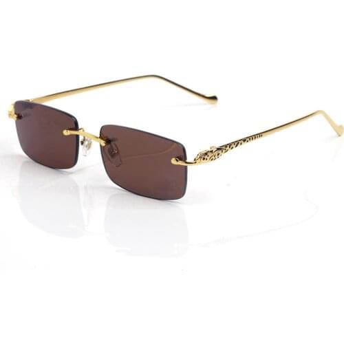 Glasses Frame Men Sunglasses Gold Rimless Eyeglasses for Anti Reflective Clear Lens Prescription Spectacles Tiny Leopard CT00630