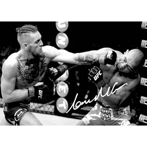 CONOR MCGREGOR NOTORIOUS Art Silk Poster Print 24x36inch