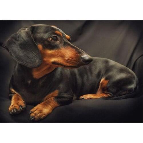 Full Square/Round 5D DIY Diamond Painting Dachshund 5D Diamond Embroidery Cute Dog Picture Mosaic Art Home Decoration Gift CV523