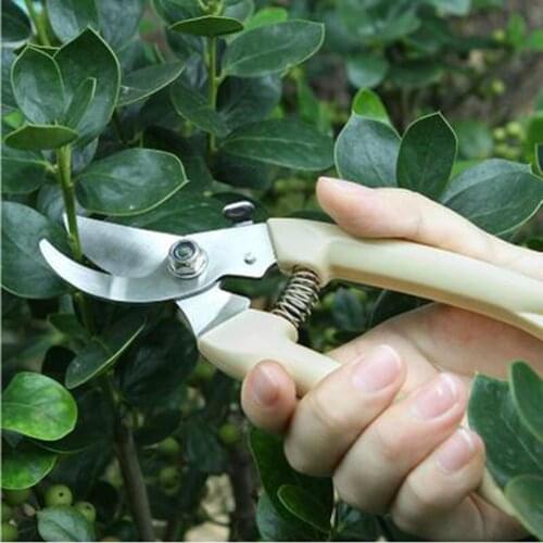 Stainless Steel Grafting Tool Gardening Pruning Shear Scissor Branch Tool Shear Garden Hand Tools TSL1