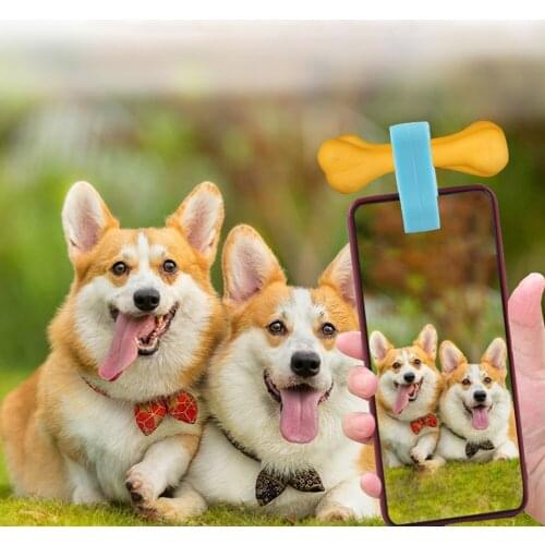 Pet Selfie Mobile Phone Food Clip Photos Props Attract Dogs Attention Pets Puppy Look the Camera Photoing Supplies