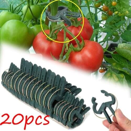 20Pcs Garden Plant Fixed Clips Convenient Agricultural Crops Vines Growing Holder Branch Regular Clamp Grape Support Fastener