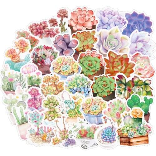 10/30/50PCS Mixed Pretty Succulent Plant Stickers DIY Bike Travel Luggage Car Phone Guitar Laptop Waterproof Cool Decal Stickers