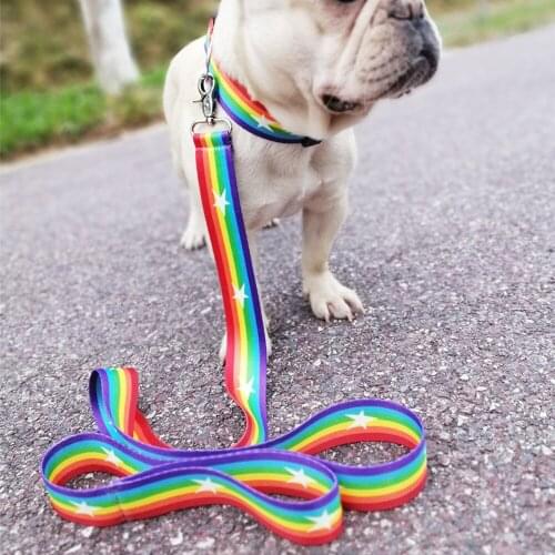 Dog Collar leash Nylon Pet Dog Collar High Quality Multiple Series Colorful Fashion New Design Adjustable Dog Collar Pet Product