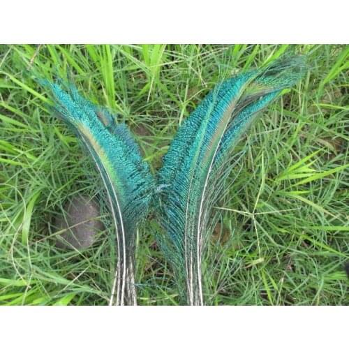 10 pc 12-14inches / 30-35cm high quality natural peacock feather DIY Art Deco fittings