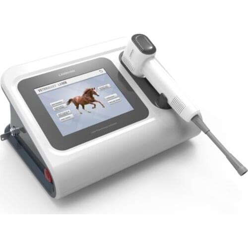 2021 High quality and Cheapest veterinary laser clinic/ pet hospital use laser machine