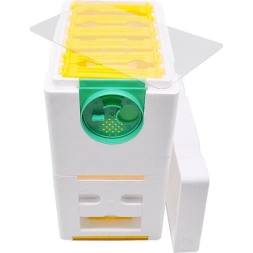 Beekeeping King Box Harvest Bee Hive Beehive Nest Harvest Bee Hive Box 1set Foam Garden Tool Single Layer Single Layer Foam Box