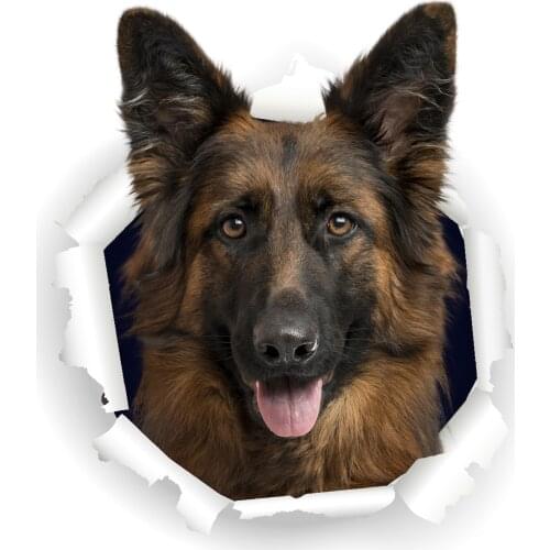 Three Ratels 3D German Shepherd Dog Dog Stickers Super Staffie decal on Wall Fridge Toilet car bike