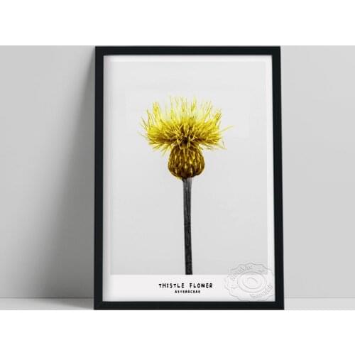 Thistle Flower Asteraceae Printed Poster, Yellow Flower Art Prints, Minimalism Plant Wall Art, Nordic Style Concise Home Decor