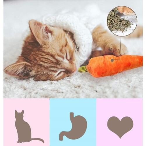 Pet Toy Plush Bite Resistant Dog Cat Toy Chew And Bite Simulation Chili Carrot Corn Cucumber Supplies