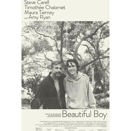 Beautiful Boy Movie Art print Silk poster Home Wall Decor