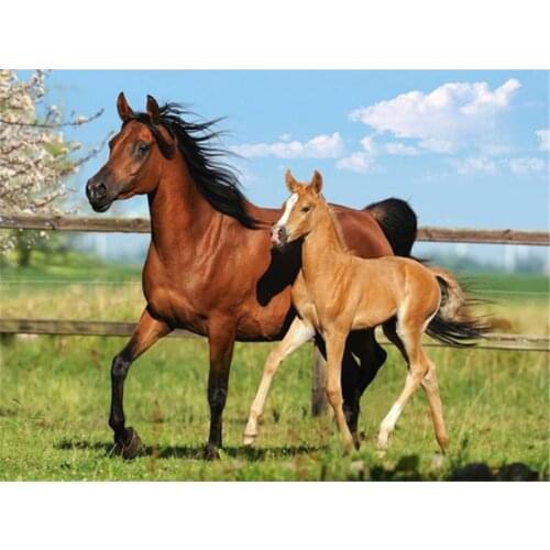 Animal Horse Flower Pre-Printed 11CT Cross Stitch Kit Embroidery DMC Threads Knitting Handmade Craft Sewing Design Counted