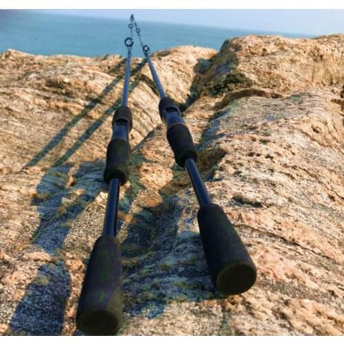 Lieyuwang 2 sections lure fishing rod 1.6m throw rod M power sea rod