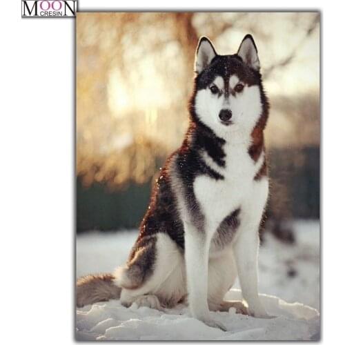 5D Diy Diamond Painting Diamond Embroidery Wolf Snow 3D Diamond Painting Mosaic Pictures Of Rhinestones Crafts Animal Needlework