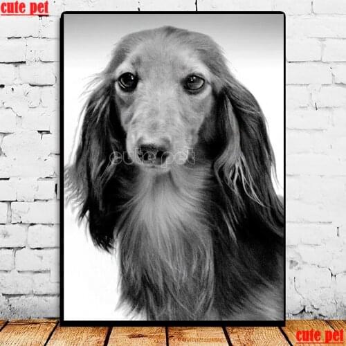 5D Diamond Painting Picture Dachshund dog Rhinestones Diamond Embroidery Full Drill Mosaic Stones child gift Animal dog puzzle