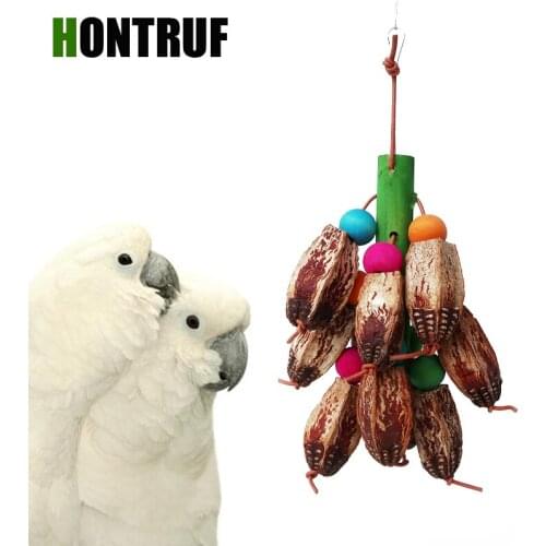 Medium and Large Parrot Toy Bird Toy Fruit Bite Toy Pet Bird Cage Accessories Training Toy Wooden Molar Toy
