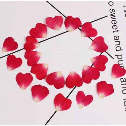 200pcs fiore secco pressato riempitivo petalo di rosa per gioielli in resina epossidica che fanno cornice per cartoline cassa de