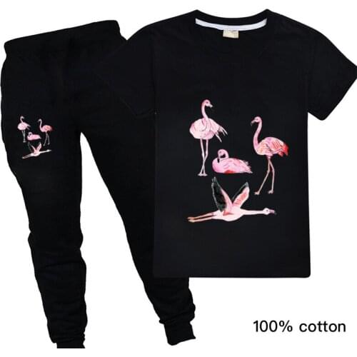 Fille Vetement Flamingo T Shirt and Long Pants Toddler Girls Clothing Sets Animal Print Casual Tops Summer Clothes Outfits
