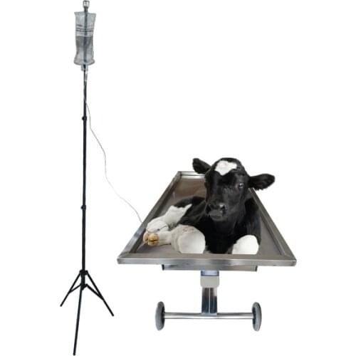 Chromium Examination Table