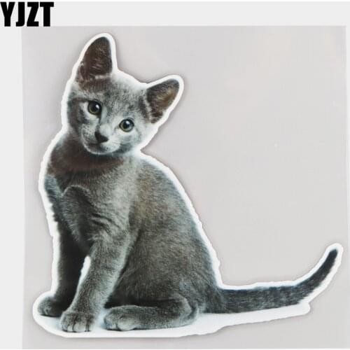 YJZT 16×15.8CM Russian Blue Cat Cute Animal Car Sticker Window Bumper Decoration Accessories 21A-0007