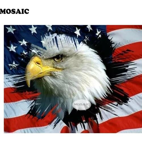 Full square diamond embroidery mosaic pattern 5D art flag and eagle diamond painting mosaic cross stitch home decor B142