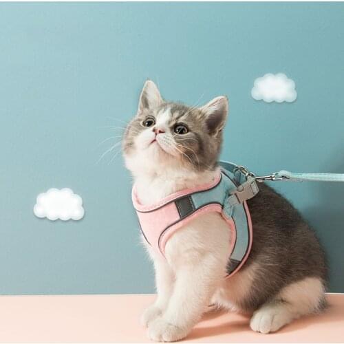 Cat Harness Vest Training for Chihuahua Puppy Soft Mesh Pet Harness for Dogs Cats Petshop Puppy Collar Cat Pet Dog Chest Strap