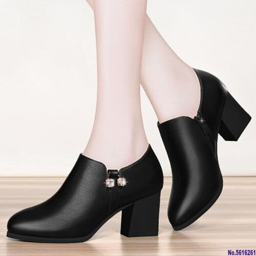 Women Boots Shoes Martin Boots 8cm Thick High Heel Pointed Toe Zipper Mother Shoes Mom Boots Pumps Boots Female Booties Shoes