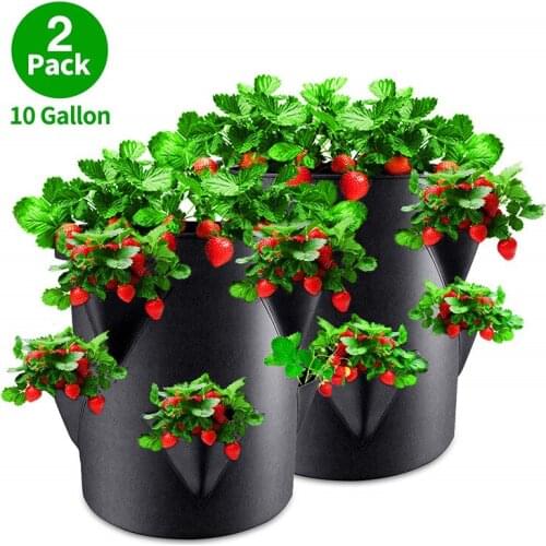 2Pcs Garden Outdoor Planting Grow Bag Strawberry Vertical Flower Herb Pouch Root Breathable Vegetable Round Reusable Pot Planter