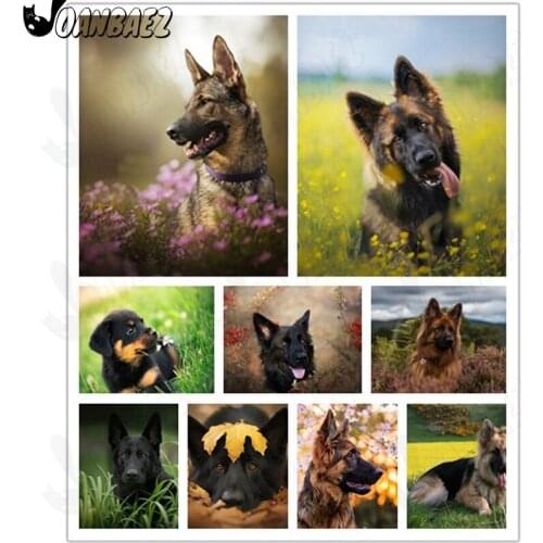 Wolf Dog Diamond Painting Animal Cross Stitch Embroidery 5D Diy Mosaic Kit Hand-Inlaid Craft Gift Design Home Decoration