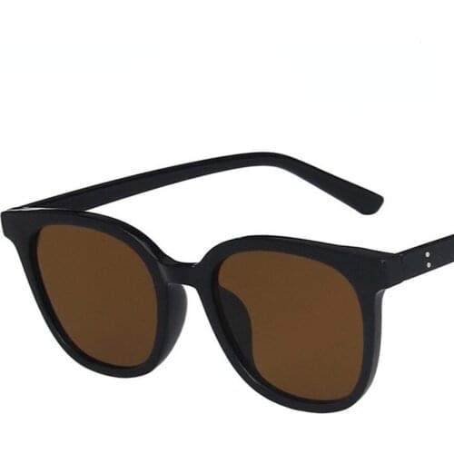 Sunglasses Brown Cat Eye Korean Sunglasses New Female Net Red Same Style Sunglasses Glasses Fashion Simple