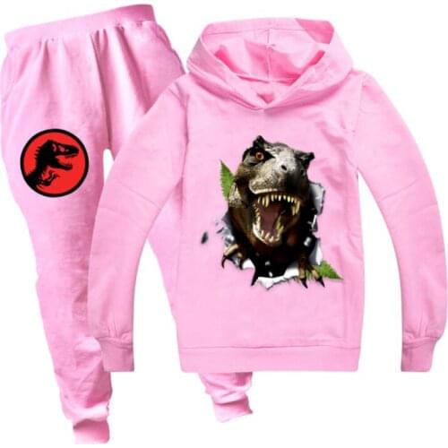 Children 3D Dinosaur Print Hoodies Sweatshirt Suit Kids Autumn New Funny Sudadera Teen Girls Boys Sweatshirt Set Fashion Clothes