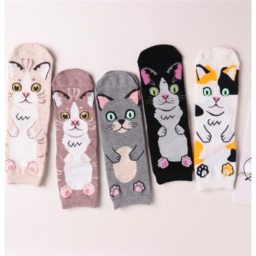 5 Pairs Spring New Cute Cartoon Cat Animal Print Women Crew Socks Combed Cotton Brand Quality Comfortable Lady Casual Sock