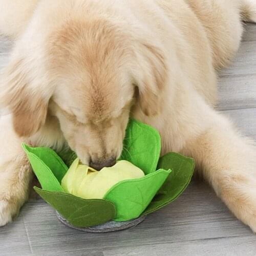 Dog Toys Pet Food Smell Cabbage Ball Pet Interactive Plush Toys For Dogs Cats Release Stress Intelligence Toys Pet Supplies