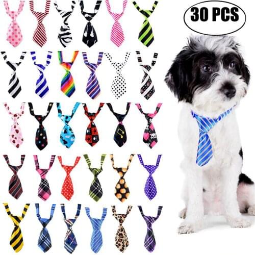 Legendog Women's Shoes