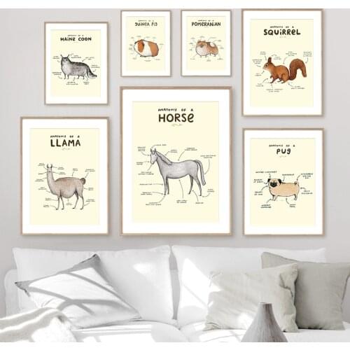 Pug Dog Alpaca Horse Anatomy Wall Art Canvas Painting Nordic Posters And Prints Wall Pictures For Veterinary Hospital Decoration