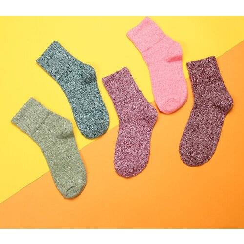Warm Women Socks Autumn Spring Winter Thick Socks Comfortable Soft Basic Short Ankle Socks Vintage Female Sox Hosen 5 Color