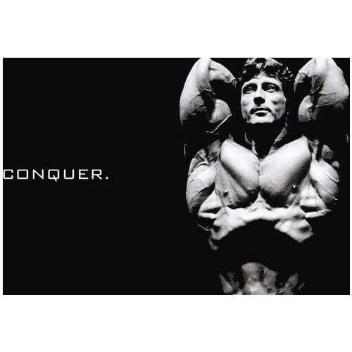 Frank Zane Great Muscle Player GYM Silk Cloth Poster Art Bedroom Decoration