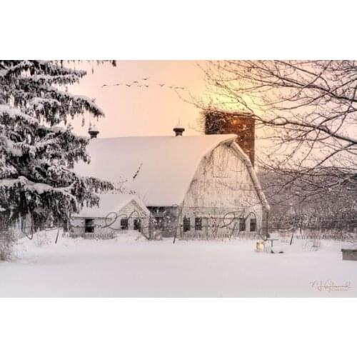 Winter Barn Farm Snowy cottage tree Snow backgrounds High quality Computer print children kids backdrops