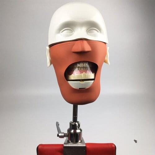 Oral Cavity Simulation Training Dental phantom head model NISSIN Dental manikins and models Phantom Head for dental education