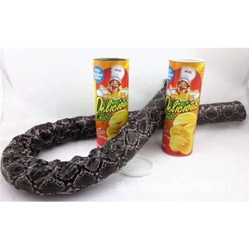 April Fools Day the whole person bucket chips Snake Bounce Halloween spoof Tricky Chips Childrens trick toys