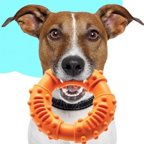 Pet Molar Toy Ring Shape Chews Cleaning Teeth Sturdy Eco-Friendly Indestructible Rubber Train And Relieve Anxiety Dog Supplies
