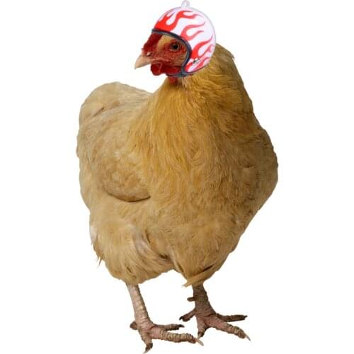 Chicken Helmet Cap Equipment Bird Helmet Helmet Bird Duck Quail Hat Headgear Pet Chicken Helmet Pet Chicken Supplies