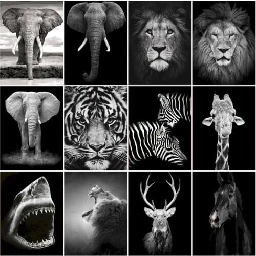 RUOPOTY Frame DIY Painting By Numbers For Adults Black Horse Animals Acrylic Paint By Numbers Modern Home Wall Art Diy Gift